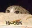 暗中观察