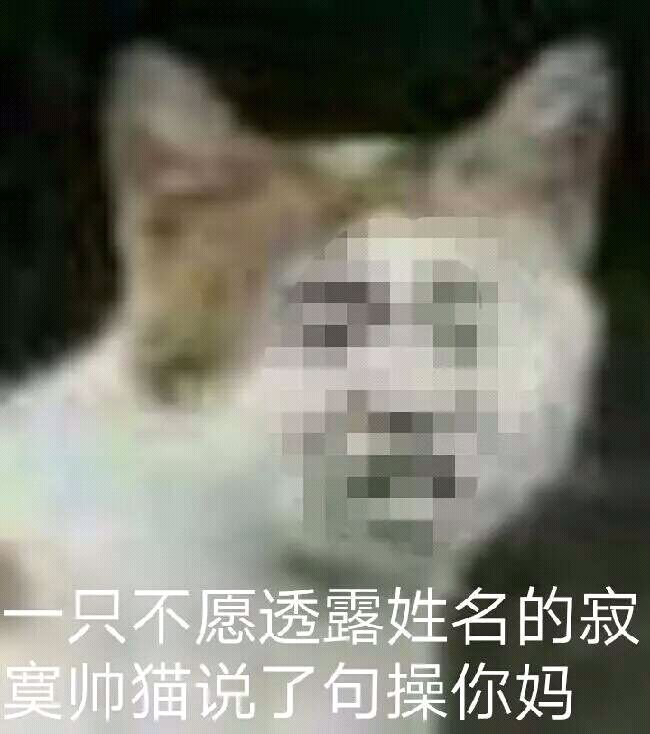 一只不愿透露群名的寂寞帅猫说了句操你妈