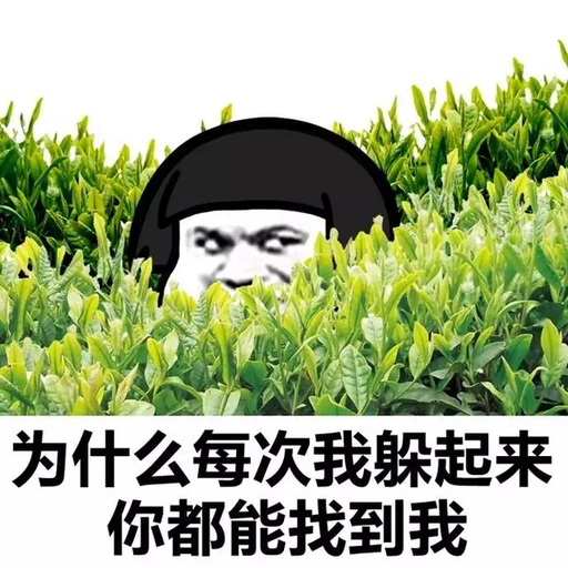 为什么我每次躲起来，你都能找到我