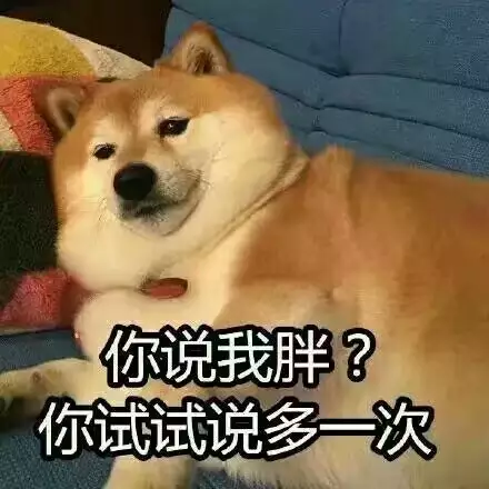 你说我胖？你试试说多一次