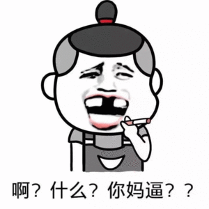 啊？什么？你妈逼？？？