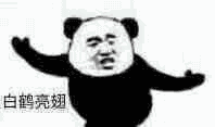 功夫(熊猫人.动态图)