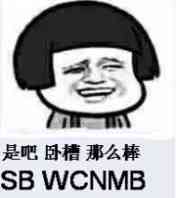 是吧，卧槽，那么棒