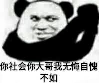 你社会你大哥我无悔自愧不如！