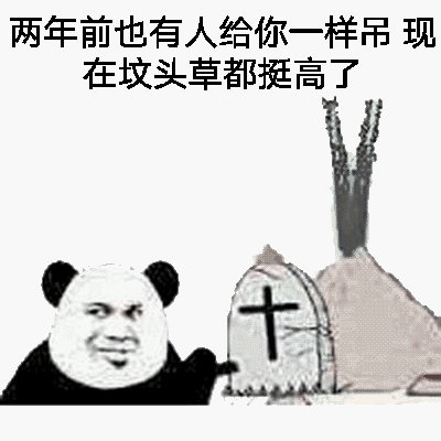 两年前也有人给你一样吊，现在坟头草都挺高了