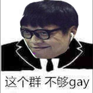 这个群，不够gay