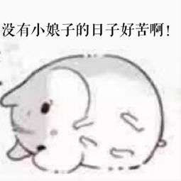 没有小娘子的日子好苦啊