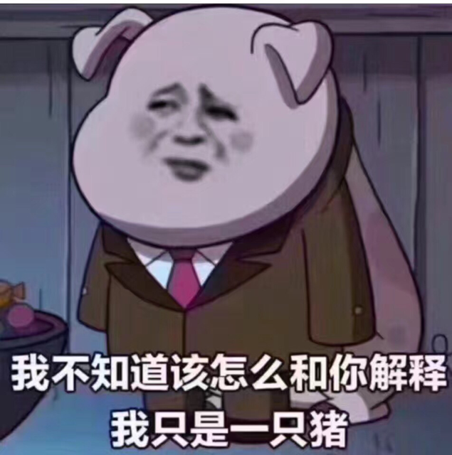 我不知道该怎么和你解释我只是一只猪