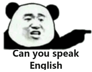 can you speak english