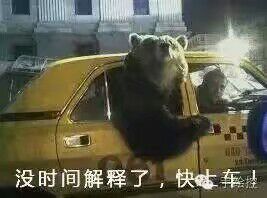 没时间解释了，快上车！（熊）