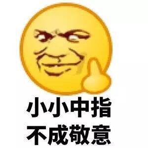 小小中指，不成敬意