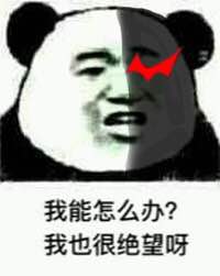 我能怎么办？我也很绝望呀！（熊猫人）