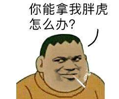 你能拿我胖虎怎么办？