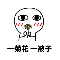 一菊花，一被子！（小人）