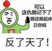 可以，这仇我记下了，我这就起床日你妈（反了天了）