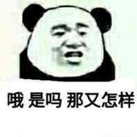 哦，是吗？那又怎样？