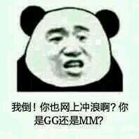 我倒！你也网上冲浪啊？你是GG还是MM？