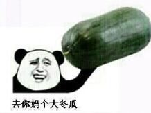 去你妈个大冬瓜！