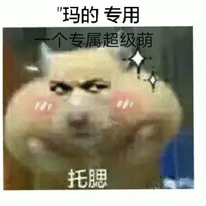 玛的专用