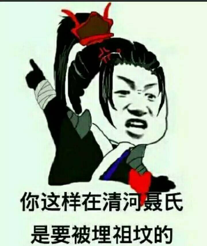 你这样在清河聂氏是要被埋祖坟的