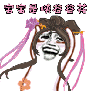 宝宝是峡谷谷花