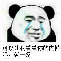 可以让我看看你的内裤吗,就一条