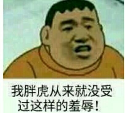 我胖虎从来就没受过这样的羞辱!