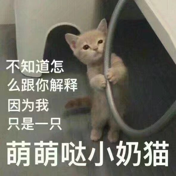 不知道怎么跟你解释因为我只是一只萌萌哒小奶猫