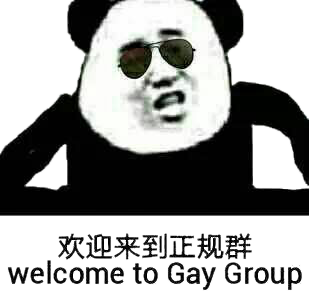 欢迎来到正规群 welcome to gay group