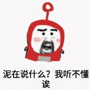 泥在说什么?我听不懂诶