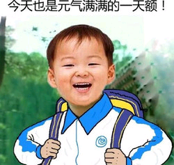 今天也是元气满满的一天额