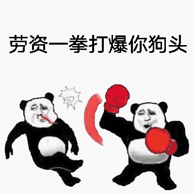 劳资一拳打爆你狗头