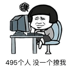 495个人没一个撩我