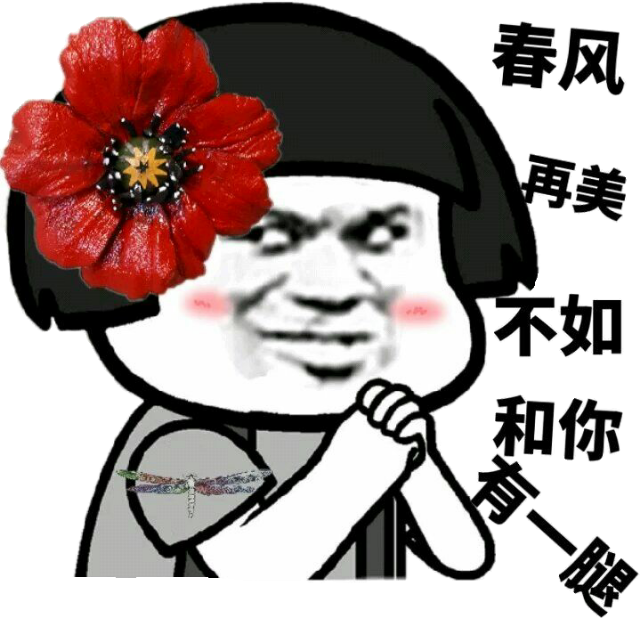 春风再美不如和你有一腿