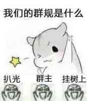 我们的群规是什么？扒光群主挂树上