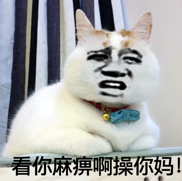看你麻痹啊操你妈!