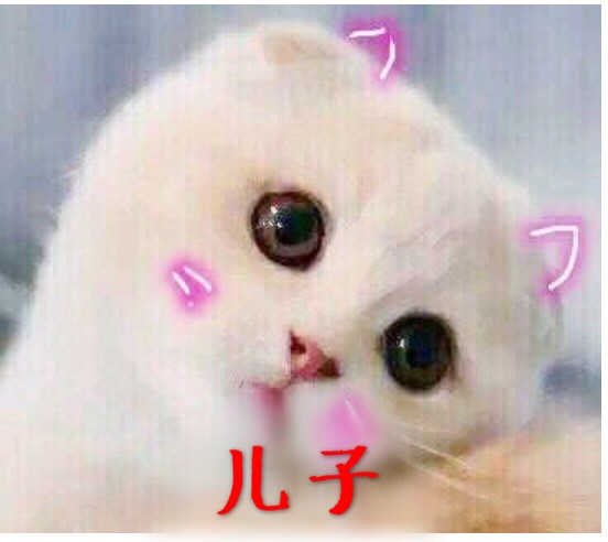 儿子