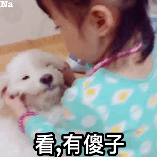  Na看有傻子