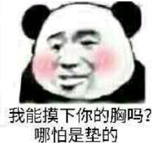 我能摸下你的胸吗?哪怕是垫的