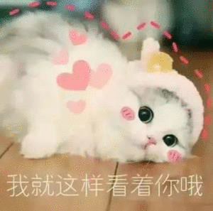 我就这样看着你哦