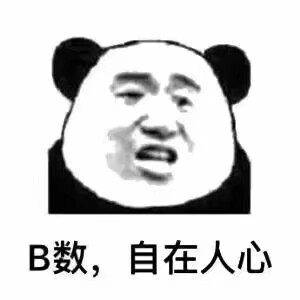 B数,自在人心