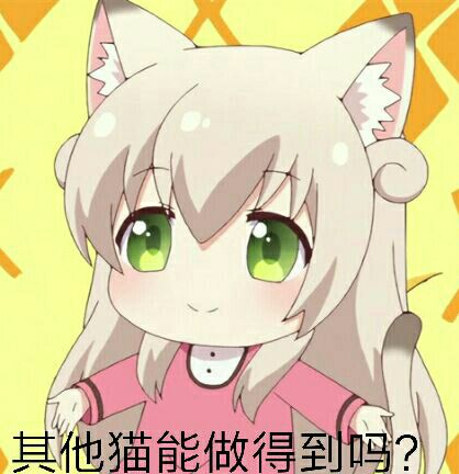 其他猫能做得到吗?