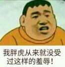 我胖虎从来就没受过这样的羞辱!