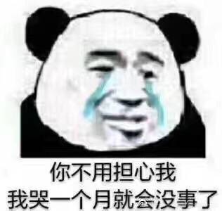 你不用担心我我哭一个月就会没事了