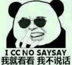  I CC NO SAYSAY我就看看我不说话