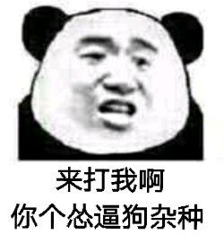 来打我啊你个怂逼狗杂种