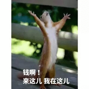 钱啊!来这儿我在这儿