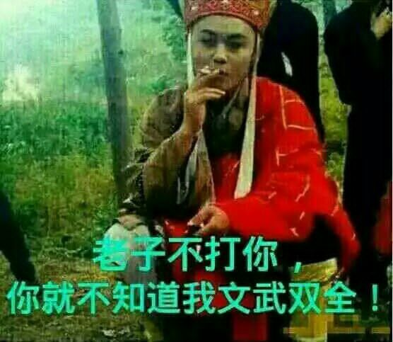 不打你你就不知道我文武双全!