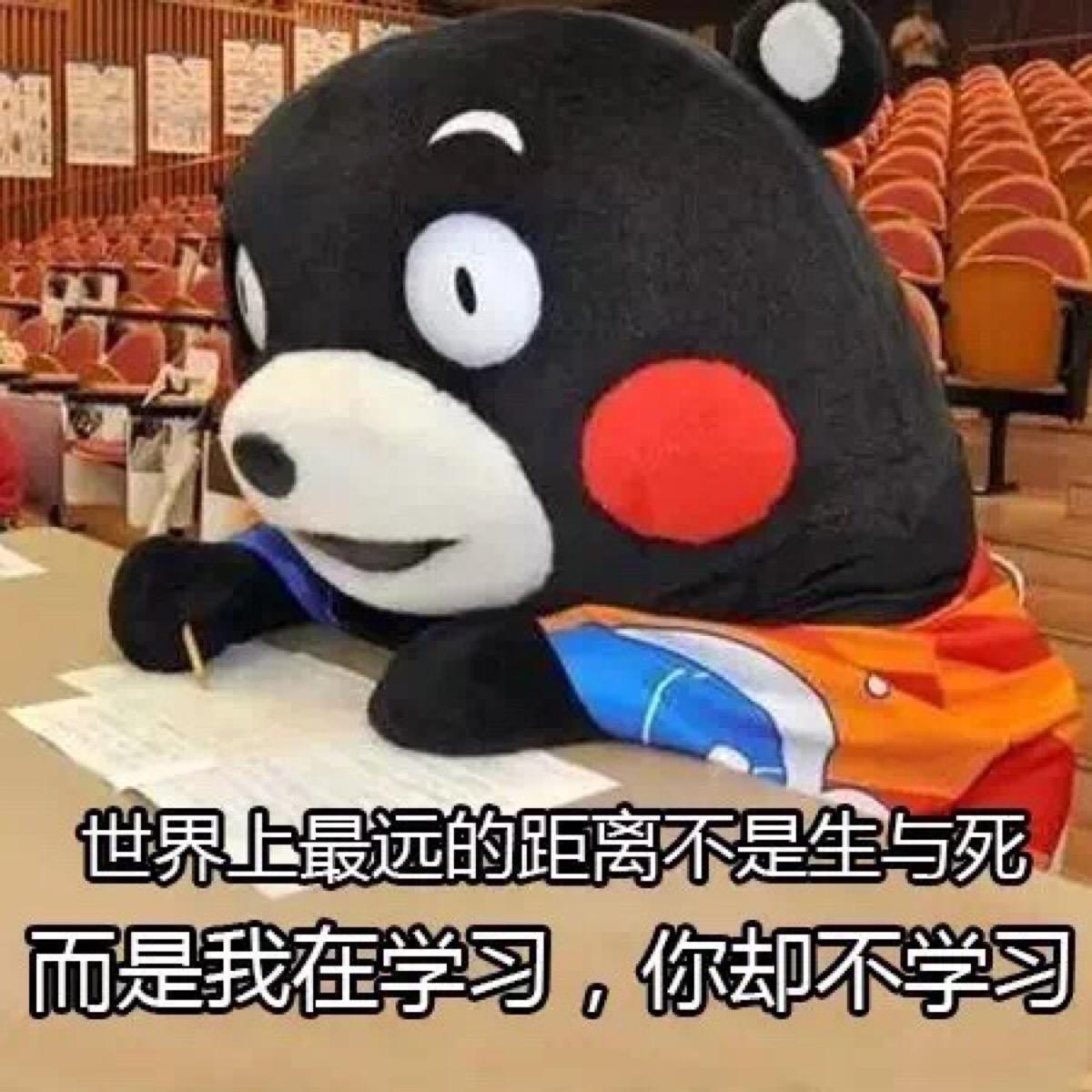 世界上最远的距离不是生与死而是我在学河你却不学习