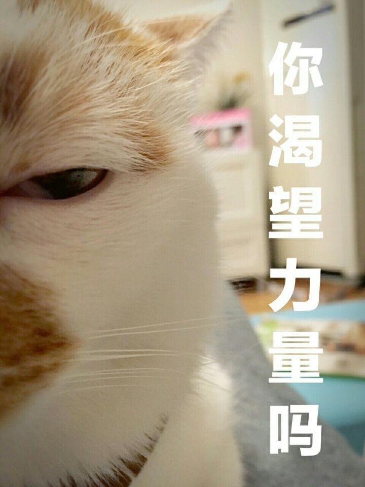 你渴望力量吗